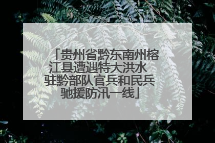 贵州省黔东南州榕江县遭遇特大洪水 驻黔部队官兵和民兵驰援防汛一线